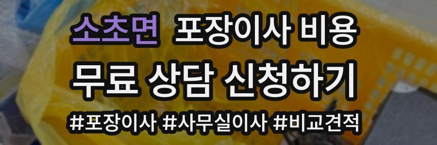 소초면 포장이사 비용