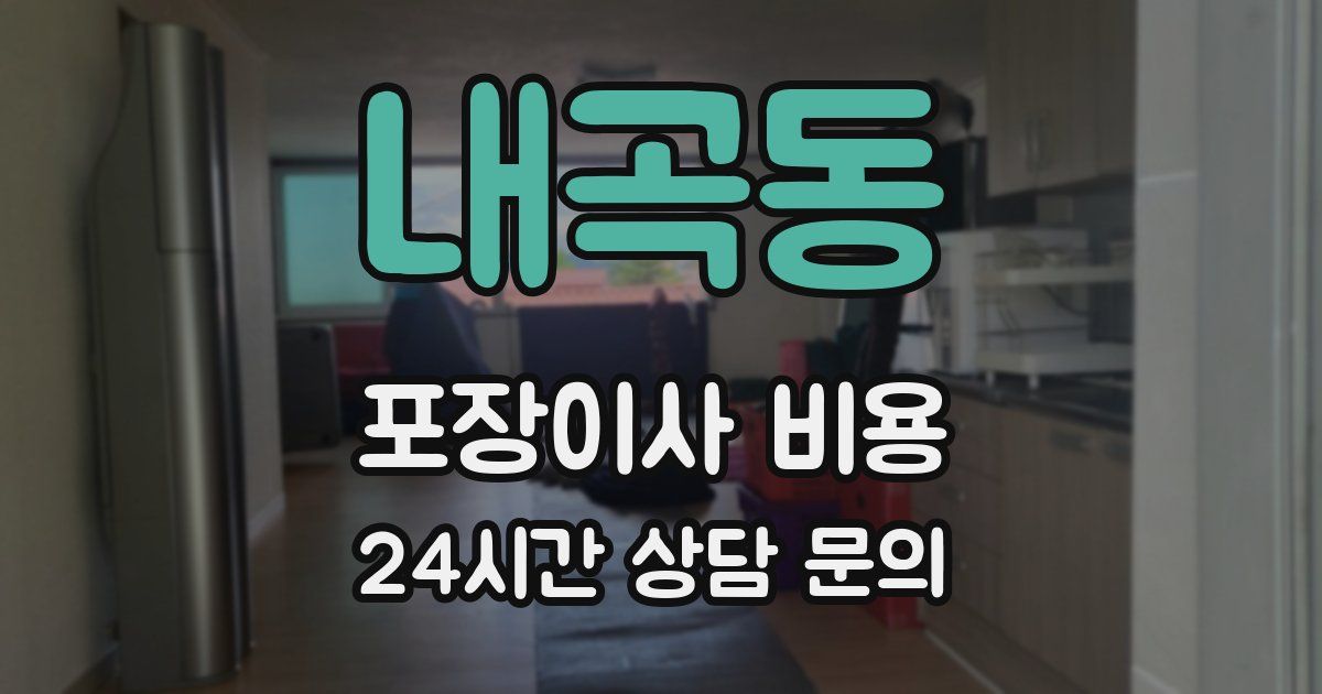 내곡동 포장이사 비용