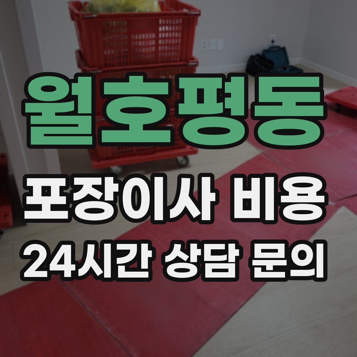 월호평동 포장이사 비용