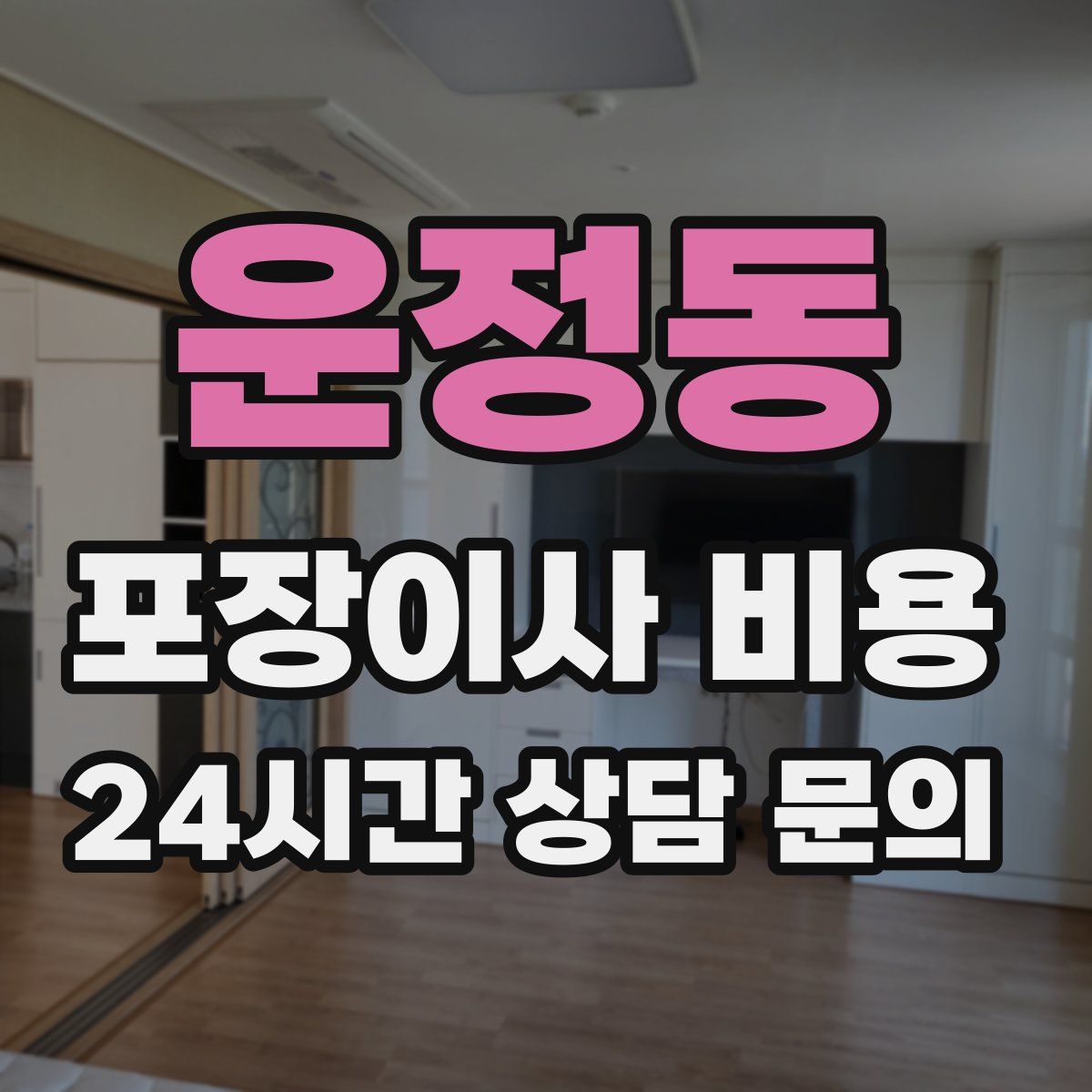 운정동 포장이사 비용