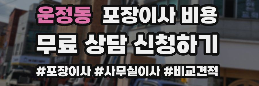 운정동 포장이사 비용