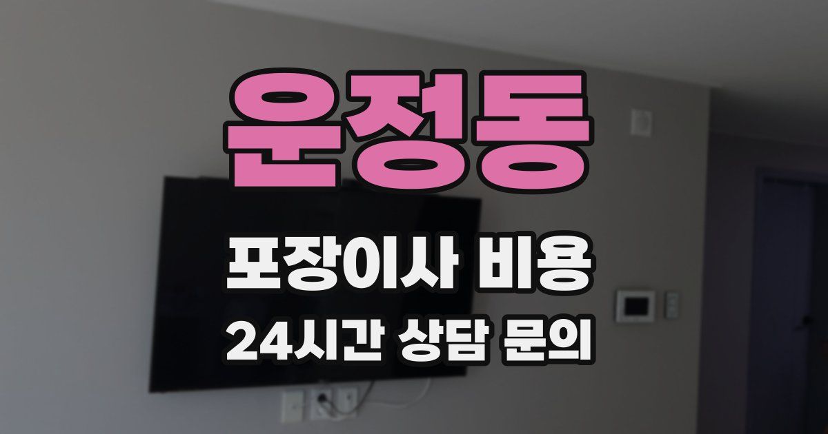 운정동 포장이사 비용