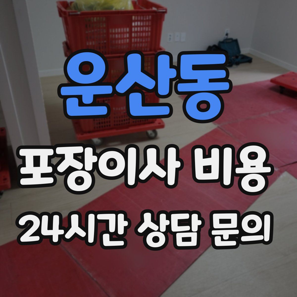 운산동 포장이사 비용