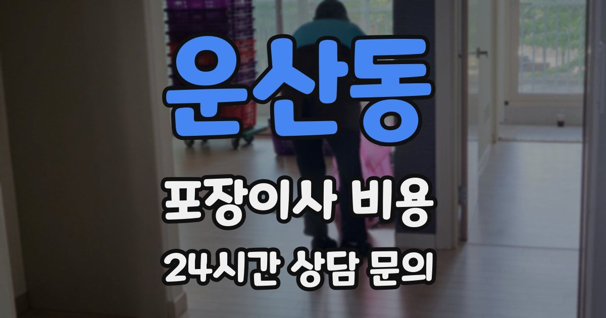 운산동 포장이사 비용