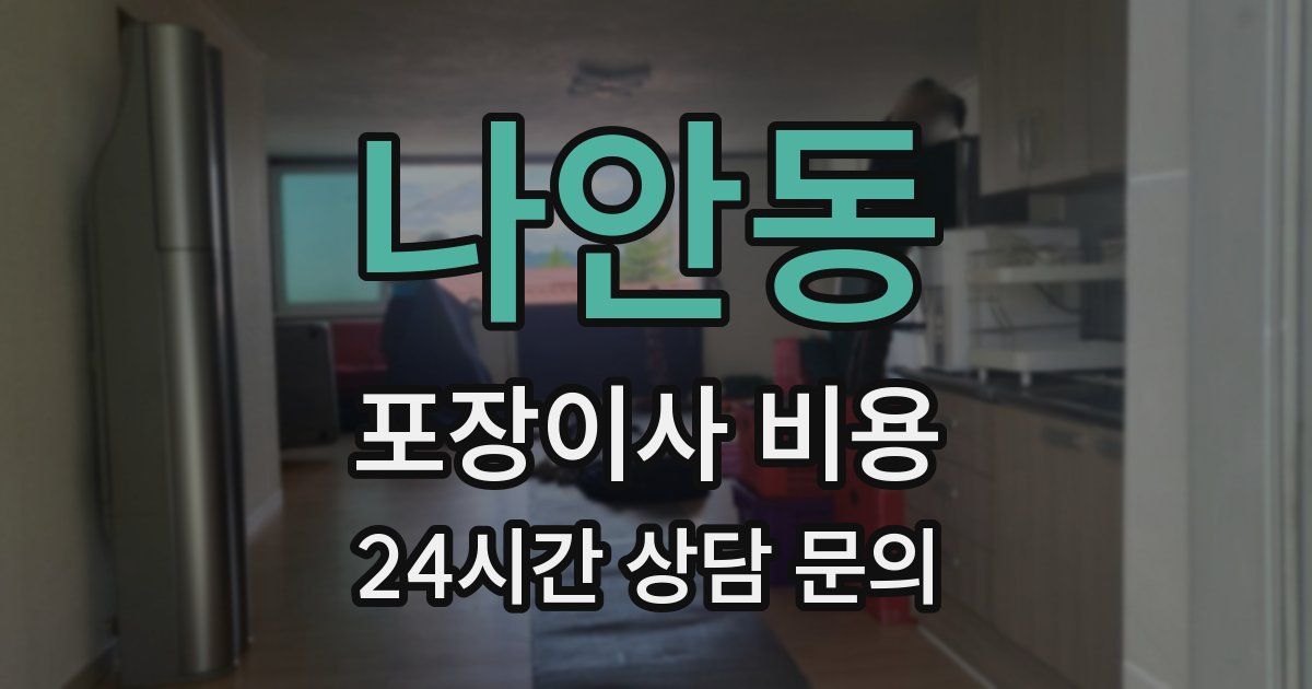 나안동 포장이사 비용