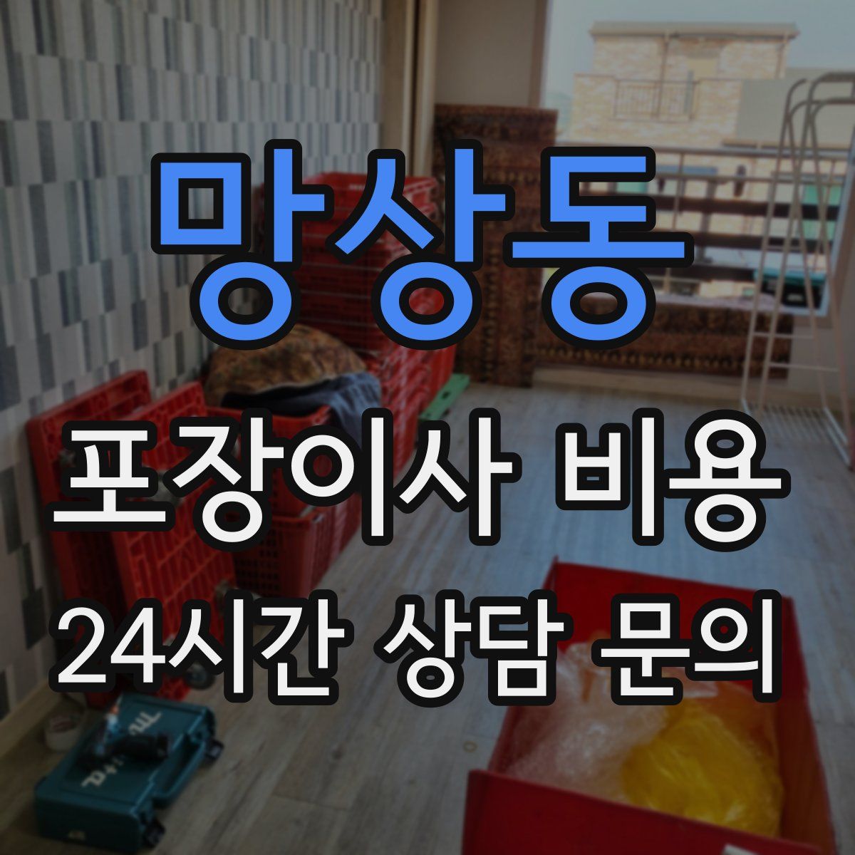 망상동 포장이사 비용