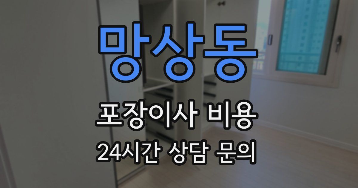 망상동 포장이사 비용