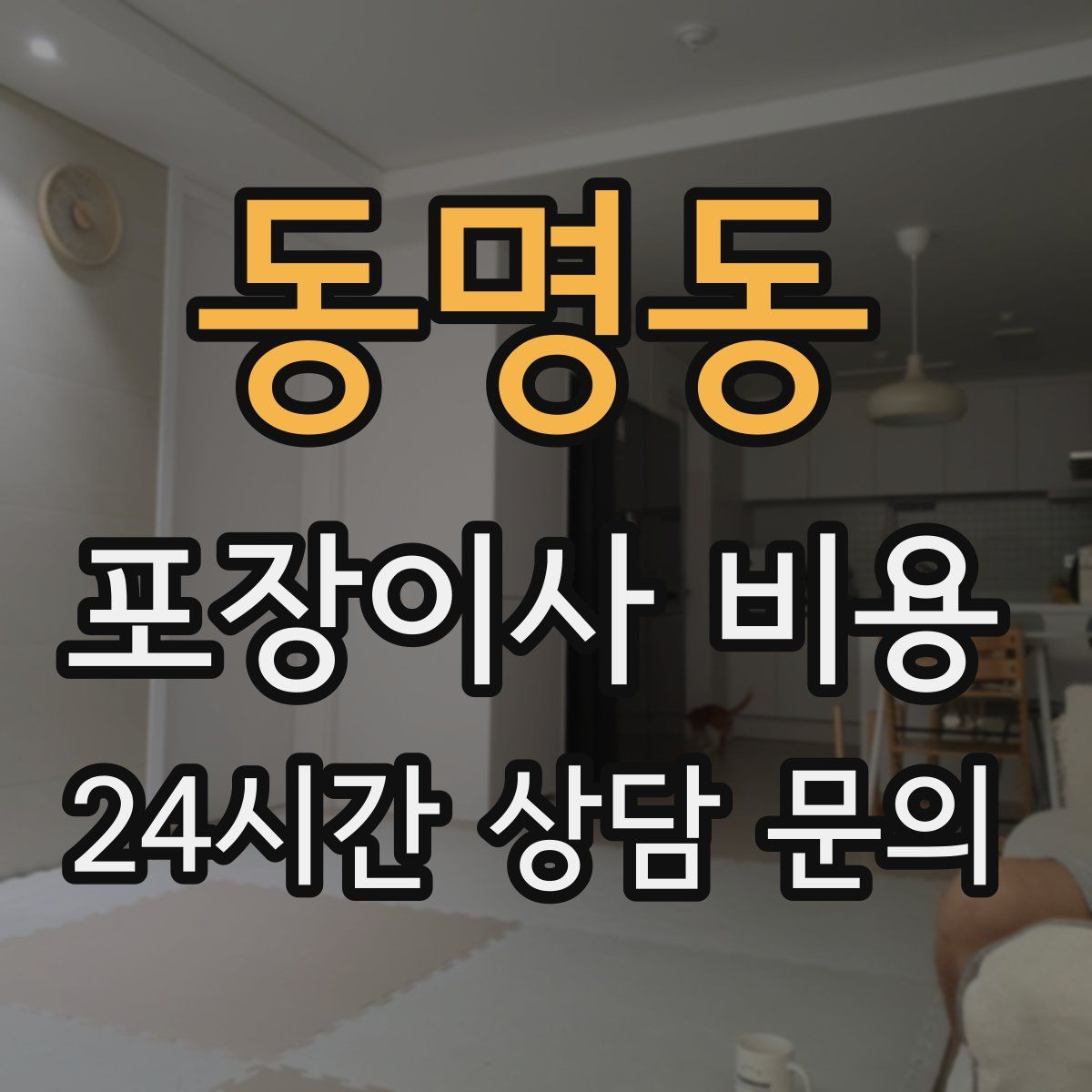 동명동 포장이사 비용