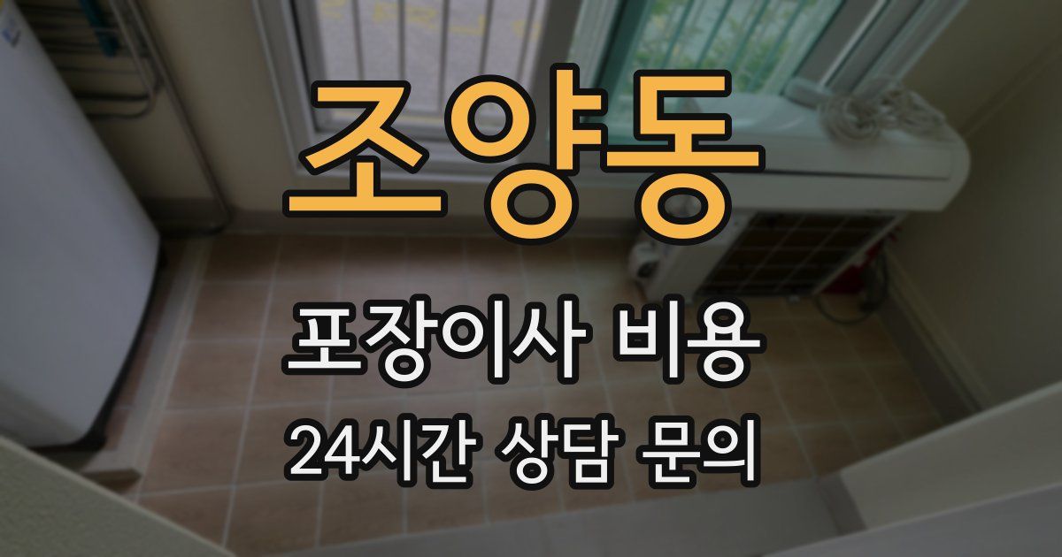 조양동 포장이사 비용
