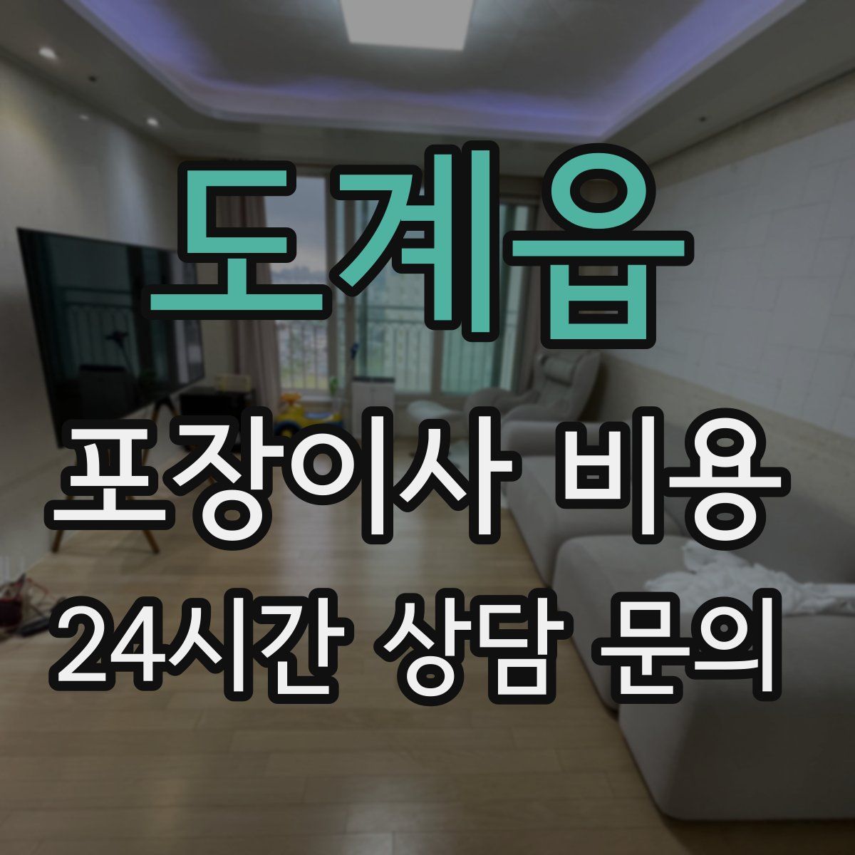 도계읍 포장이사 비용