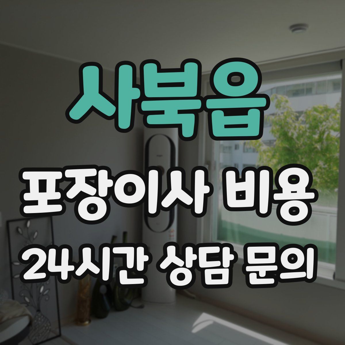 사북읍 포장이사 비용