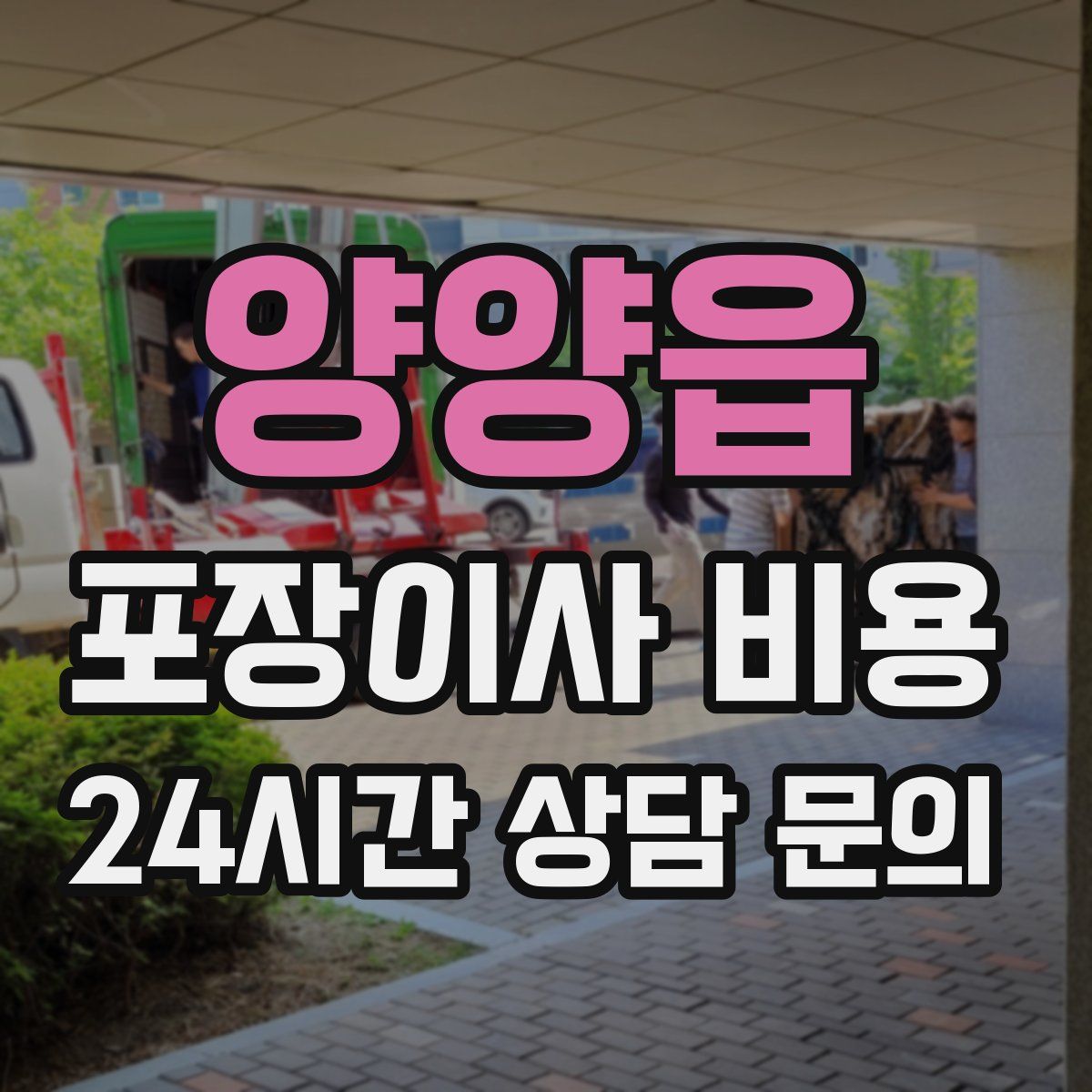 양양읍 포장이사 비용