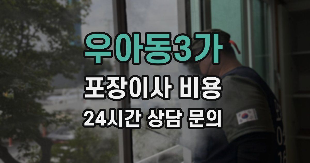 우아동3가 포장이사 비용