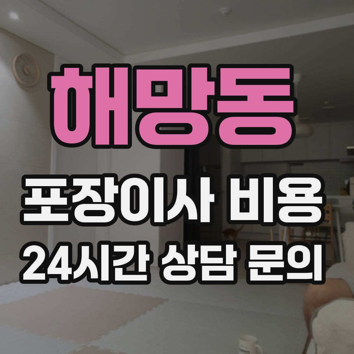 해망동 포장이사 비용