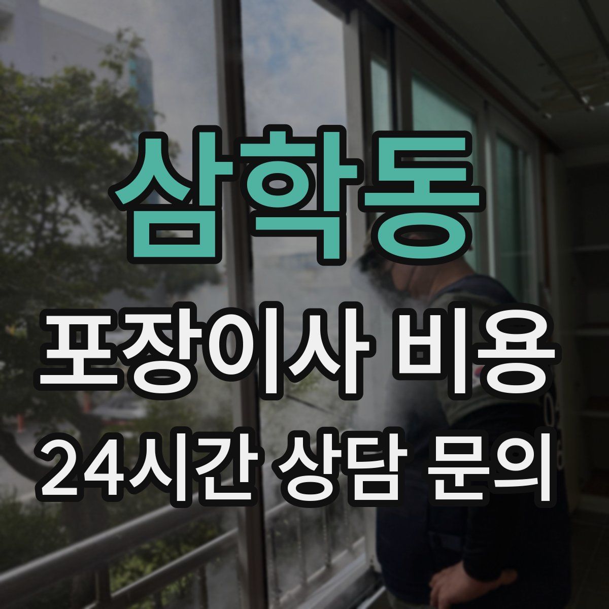 삼학동 포장이사 비용