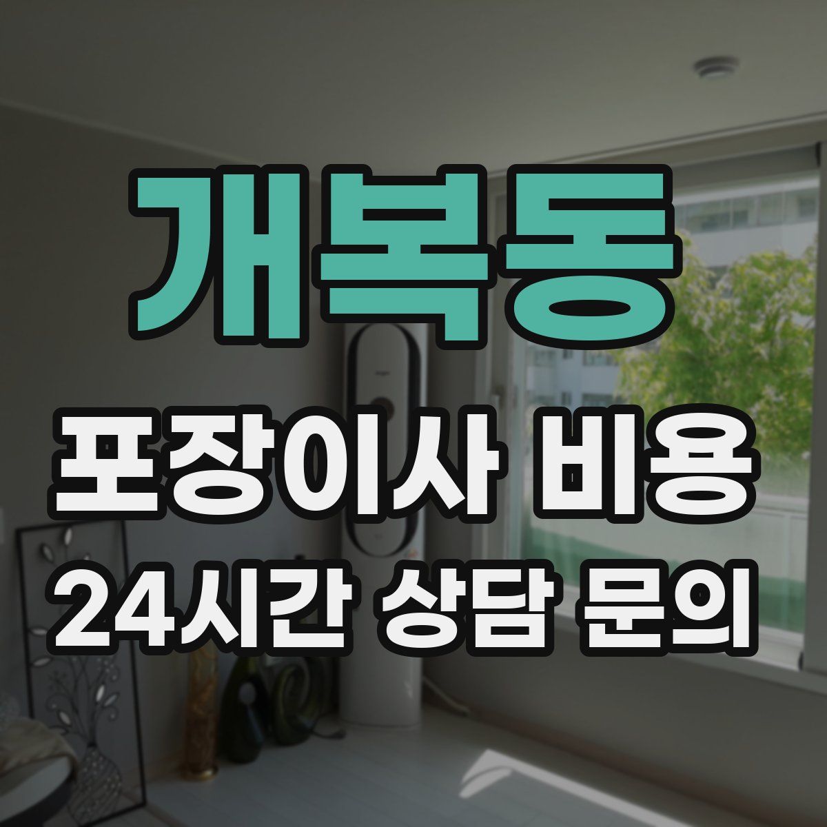 개복동 포장이사 비용