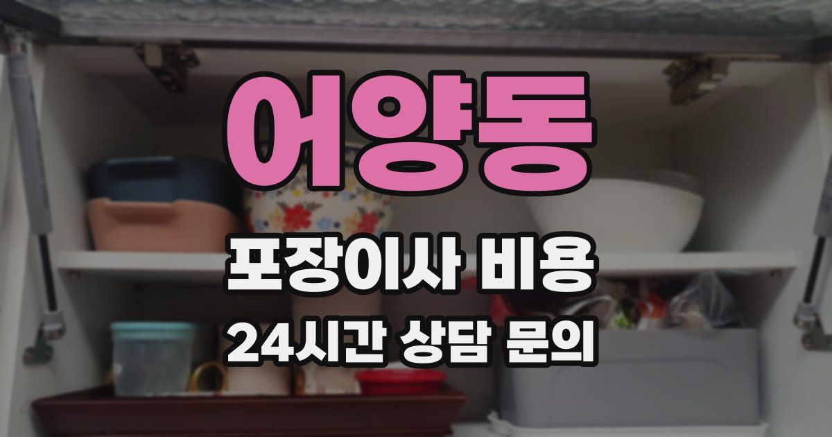 어양동 포장이사 비용