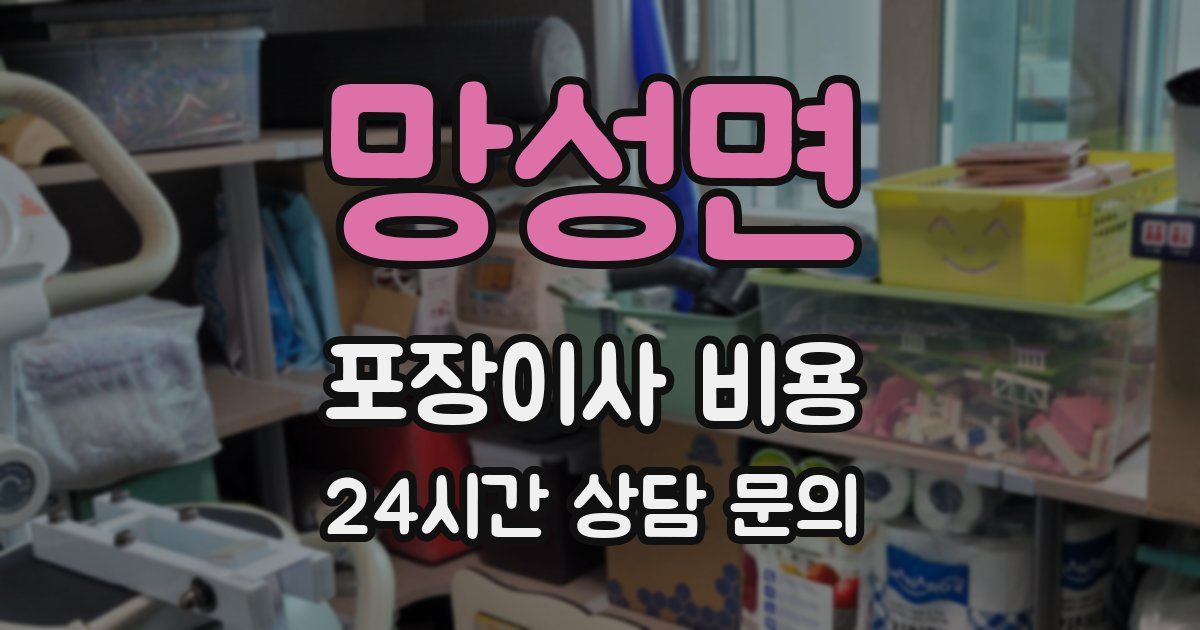 망성면 포장이사 비용