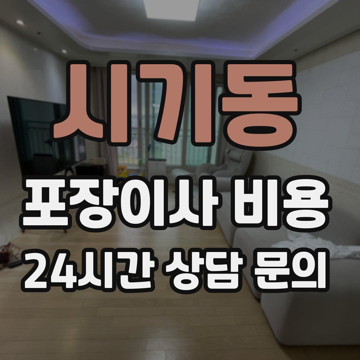 시기동 포장이사 비용