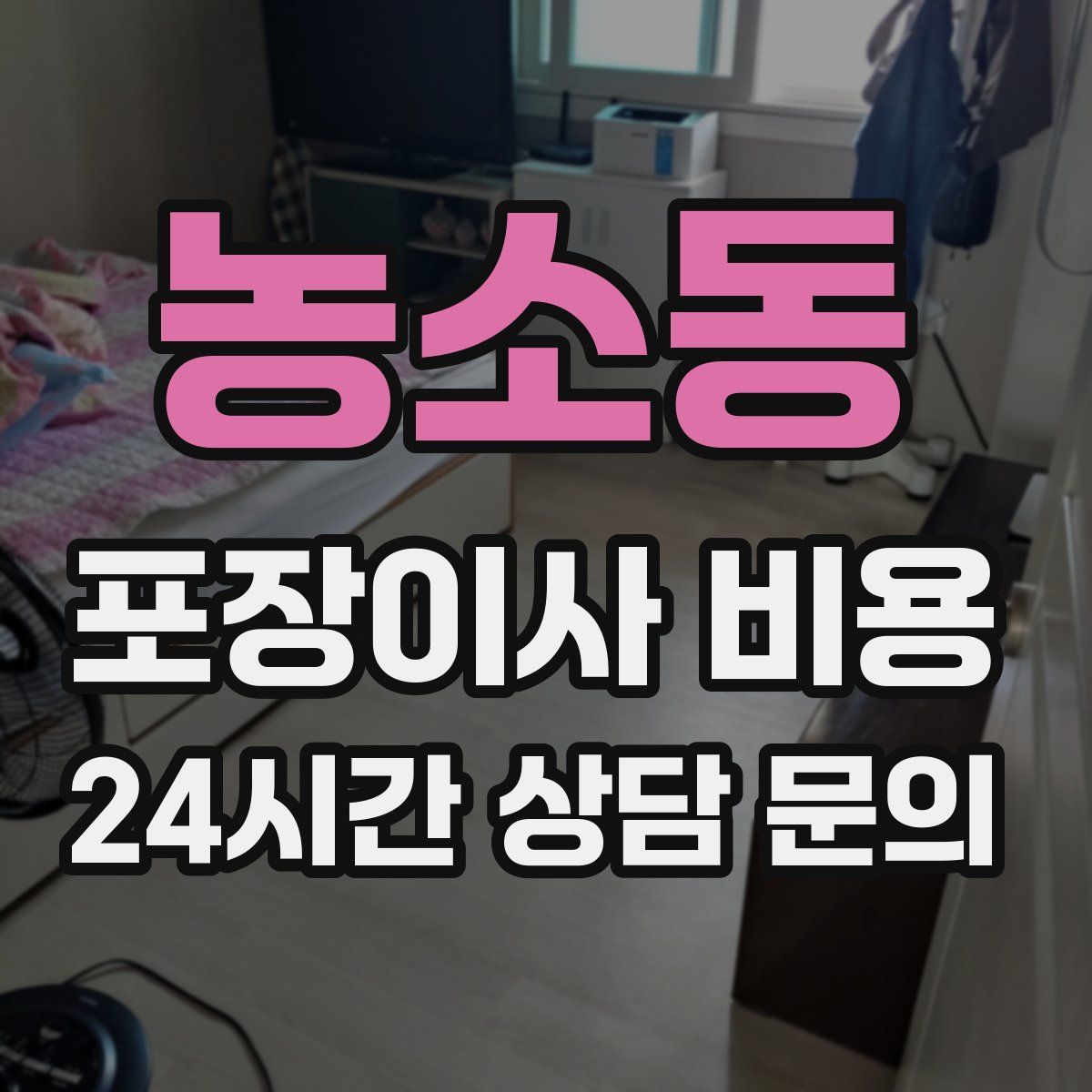 농소동 포장이사 비용