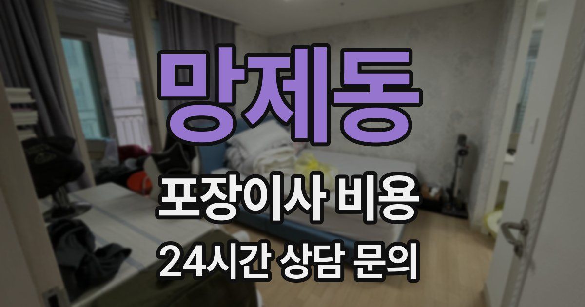 망제동 포장이사 비용