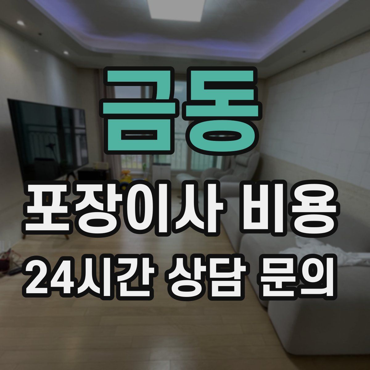 금동 포장이사 비용