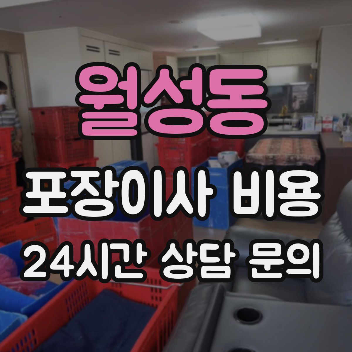 월성동 포장이사 비용