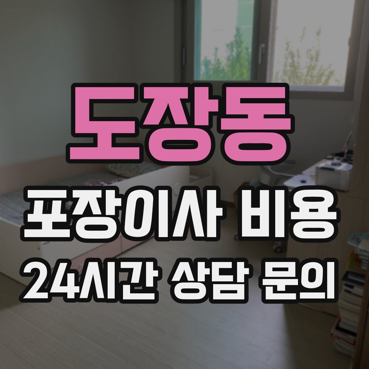 도장동 포장이사 비용