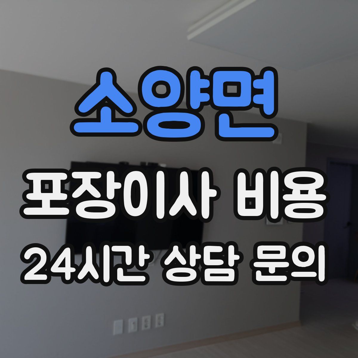 소양면 포장이사 비용