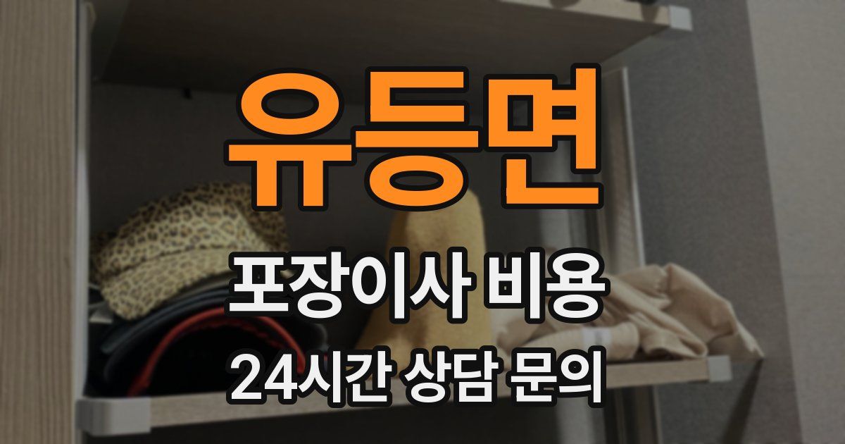 유등면 포장이사 비용