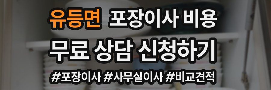 유등면 포장이사 비용