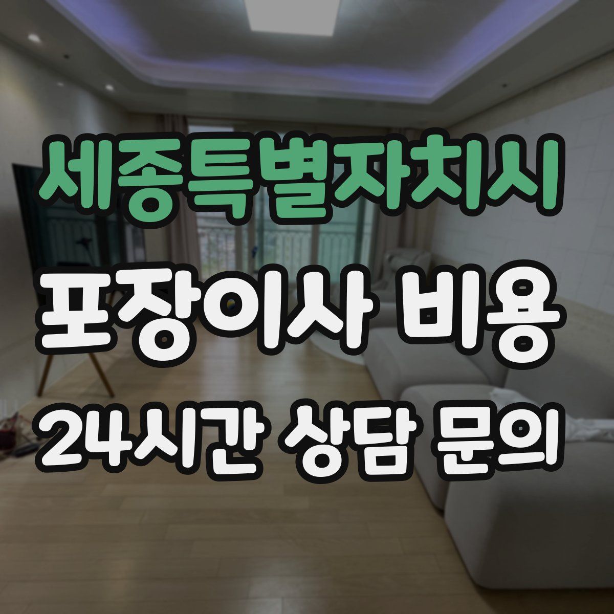 세종특별자치시 포장이사 비용