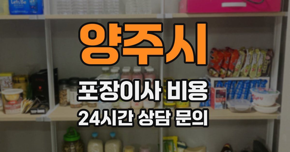 양주시 포장이사 비용