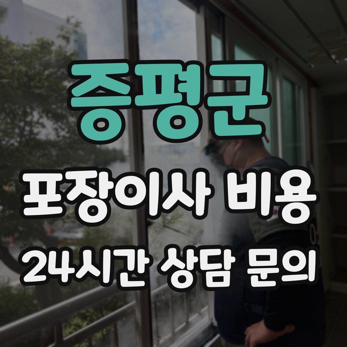 증평군 포장이사 비용