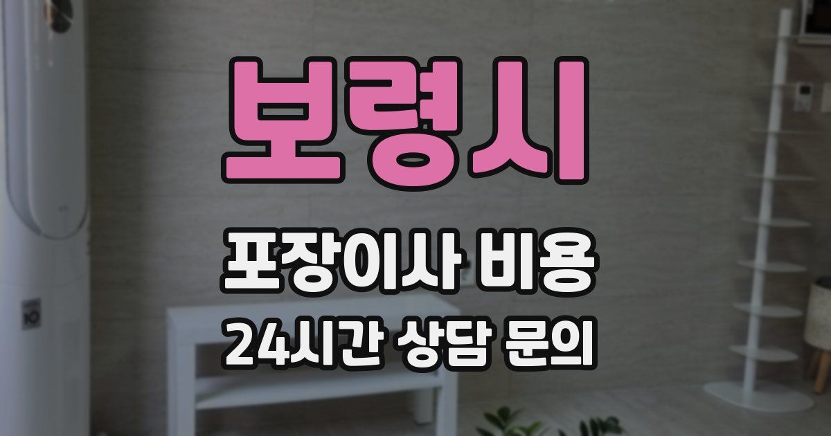 보령시 포장이사 비용