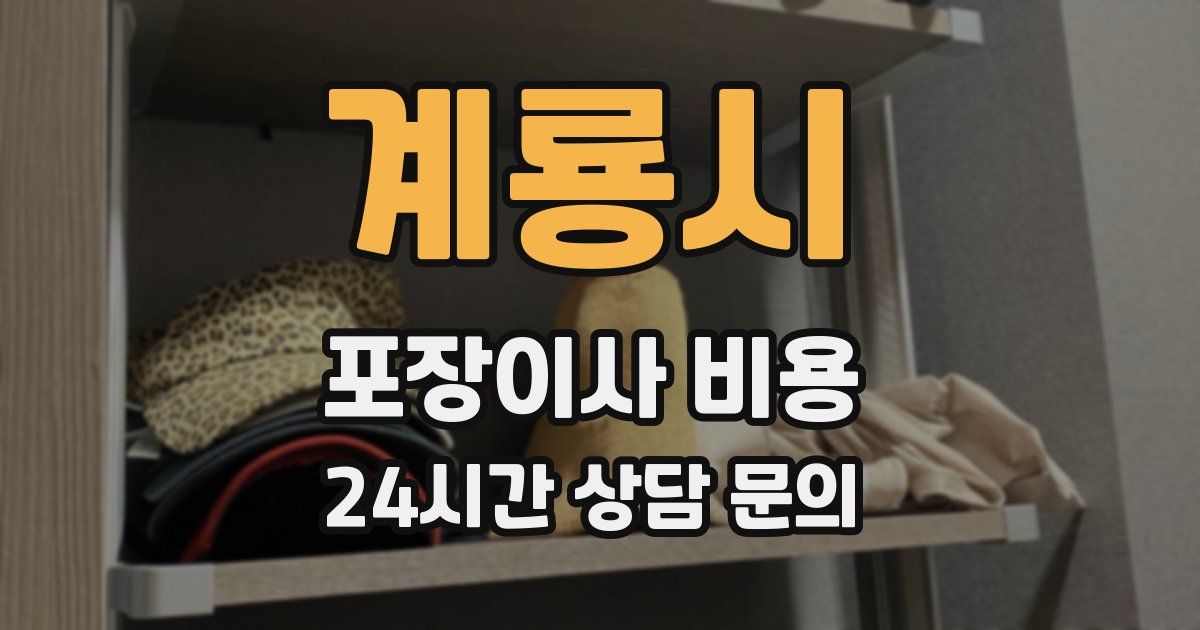 계룡시 포장이사 비용