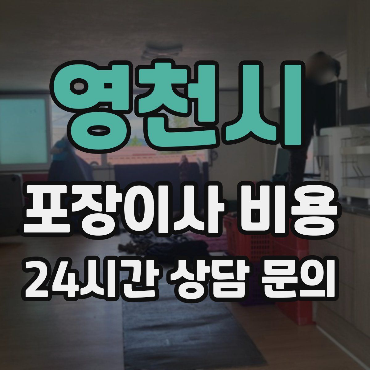 영천시 포장이사 비용