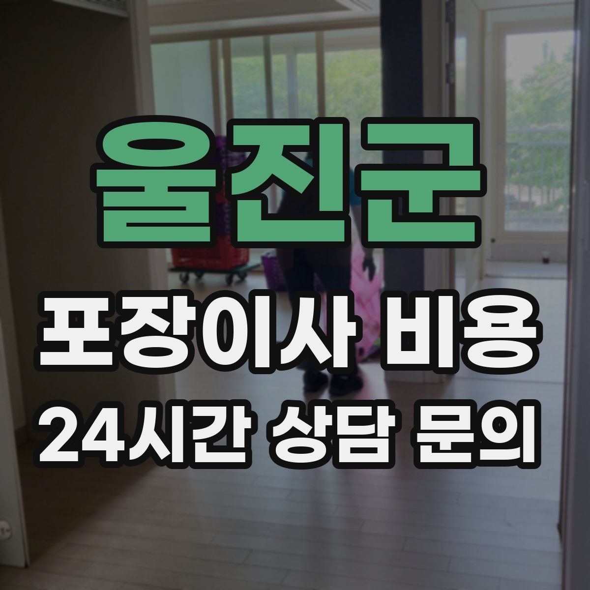 울진군 포장이사 비용