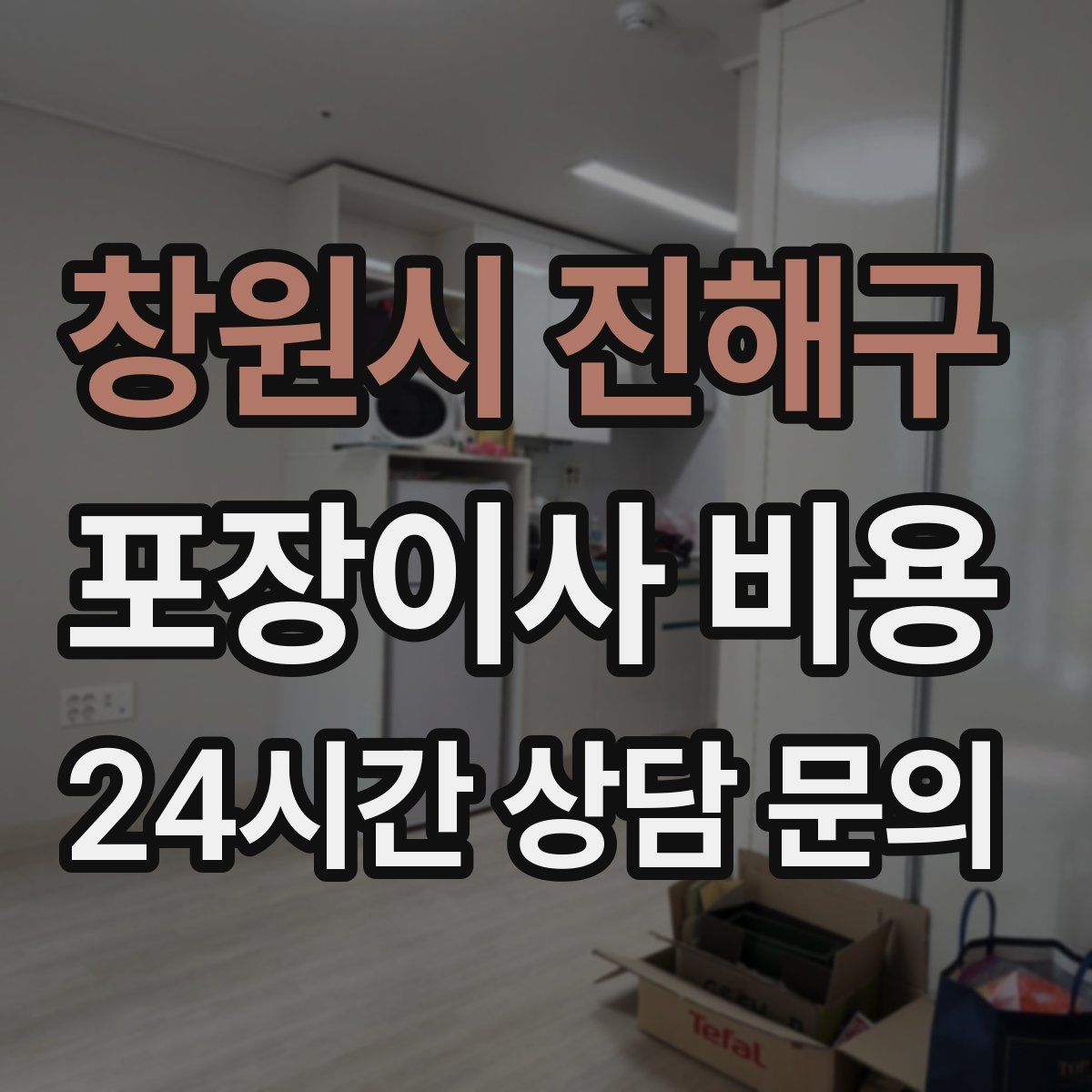 창원시 진해구 포장이사 비용