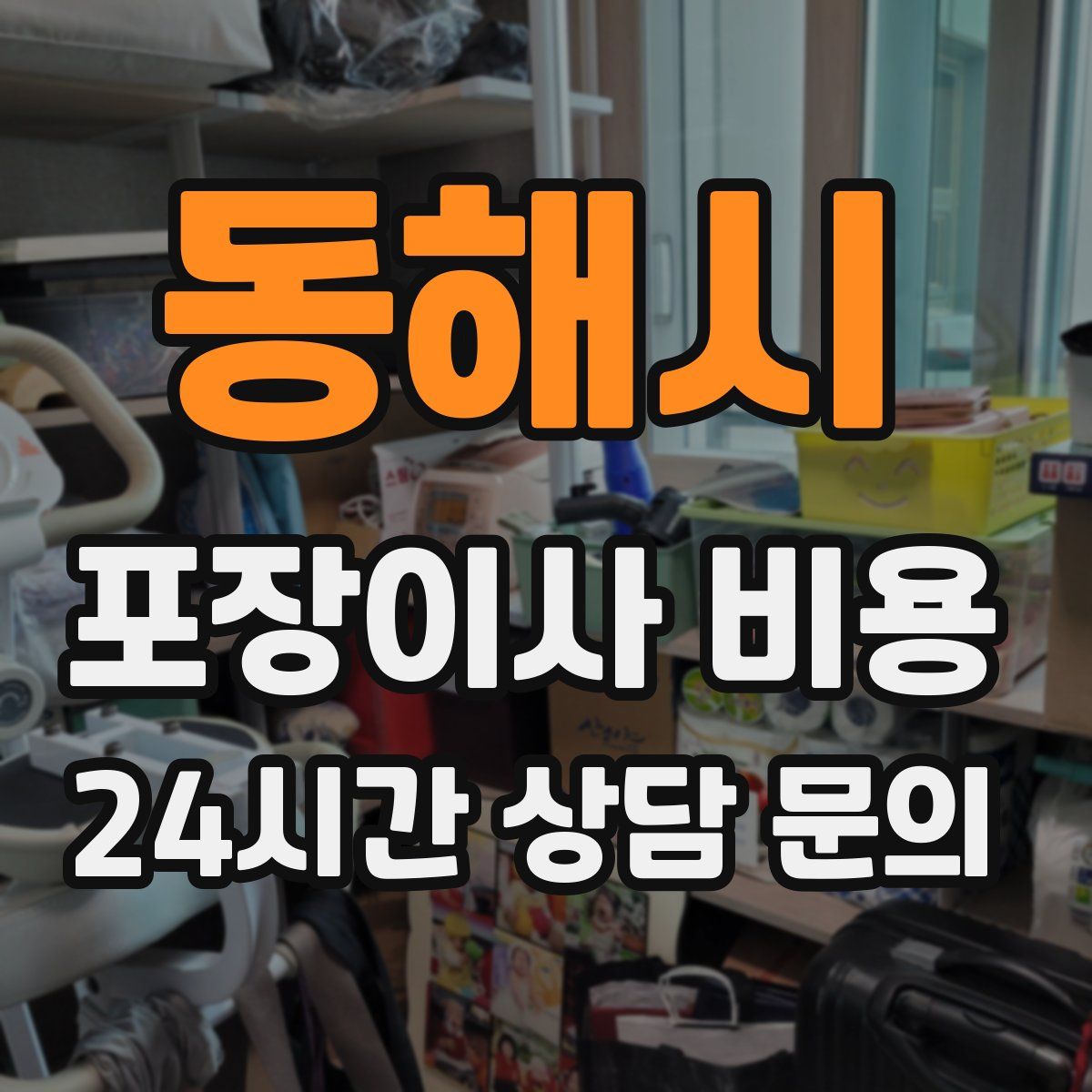 동해시 포장이사 비용