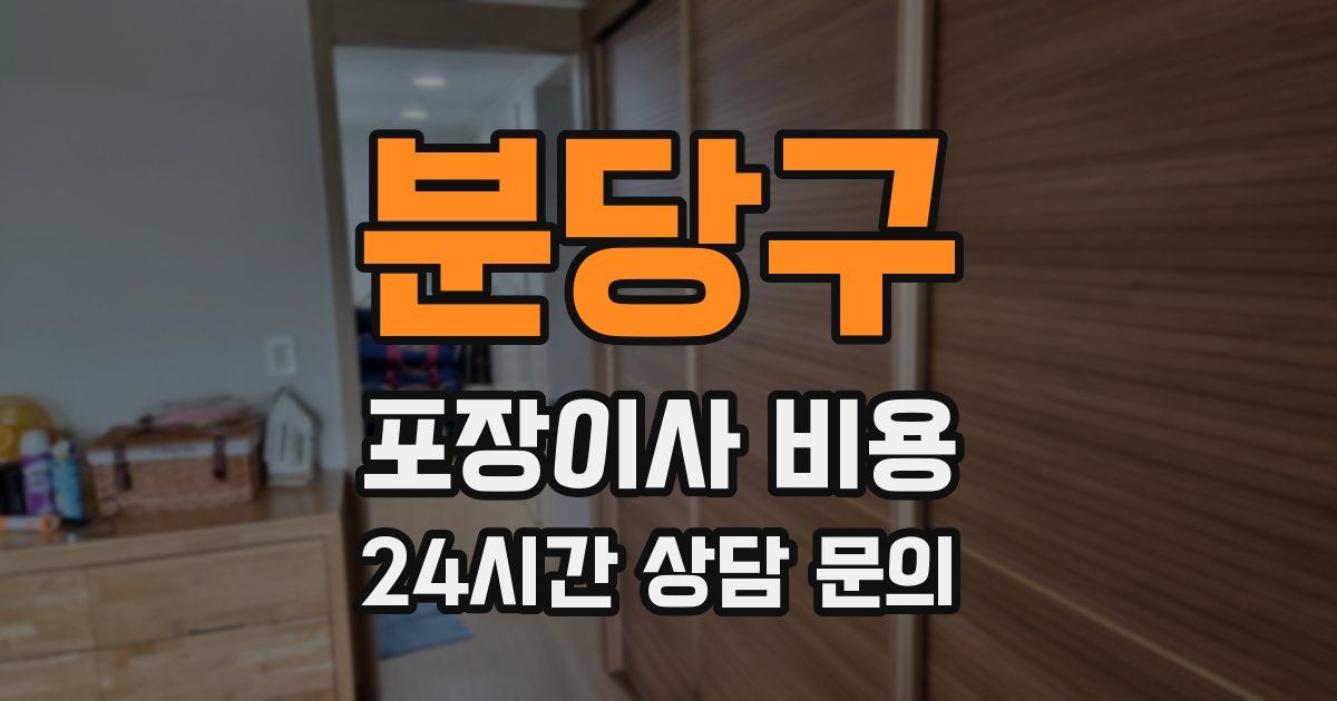 분당구 포장이사 비용