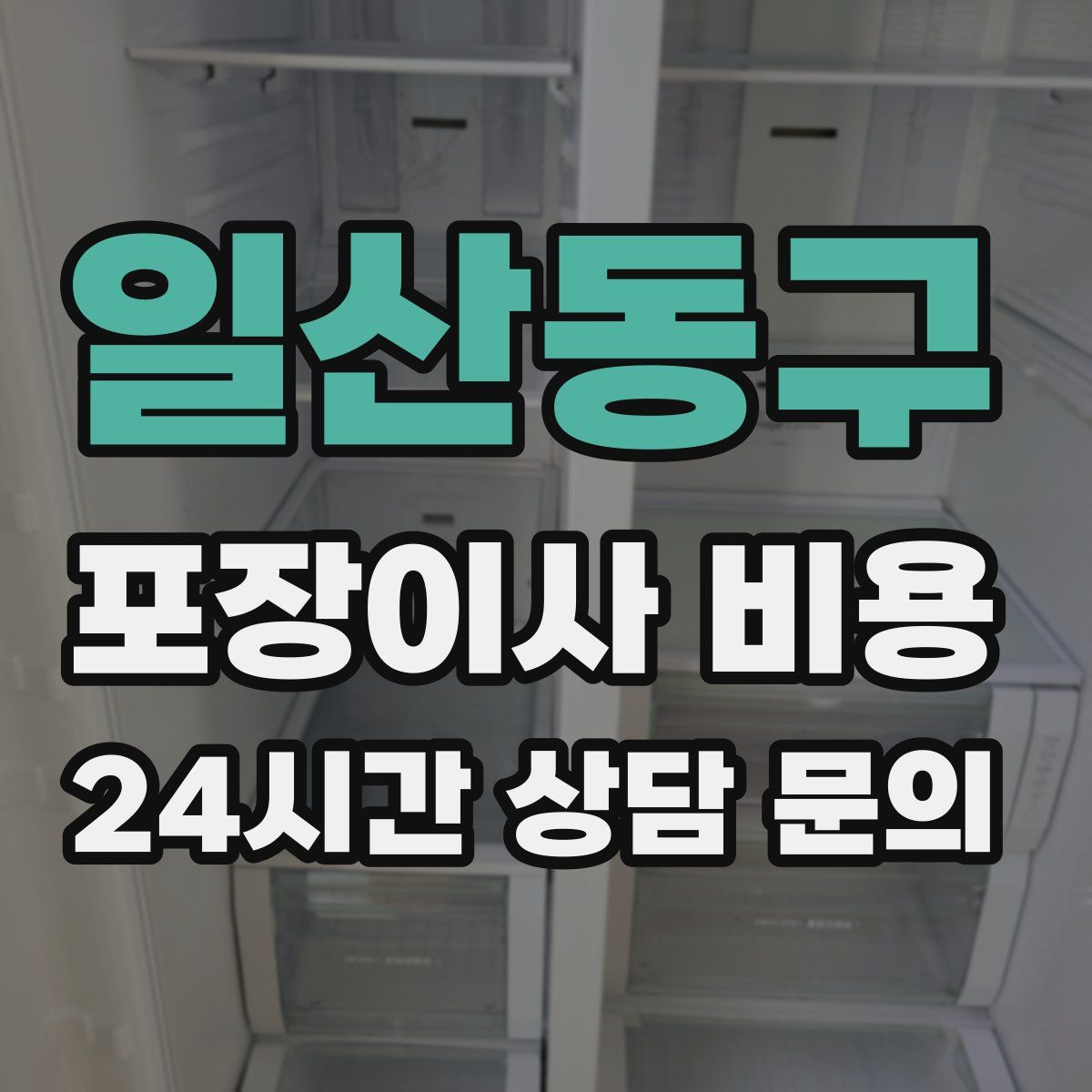 일산동구 포장이사 비용