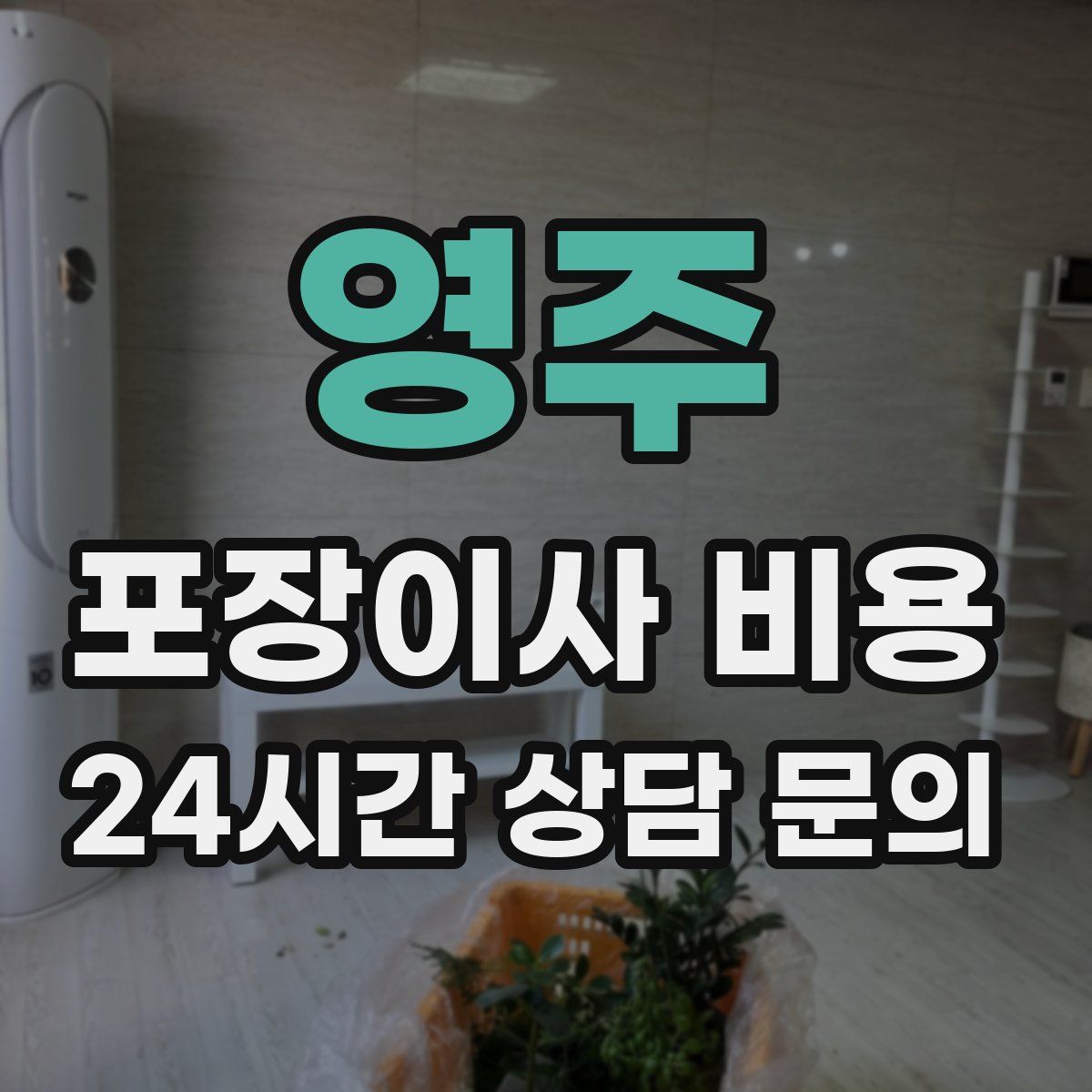 영주 포장이사 비용