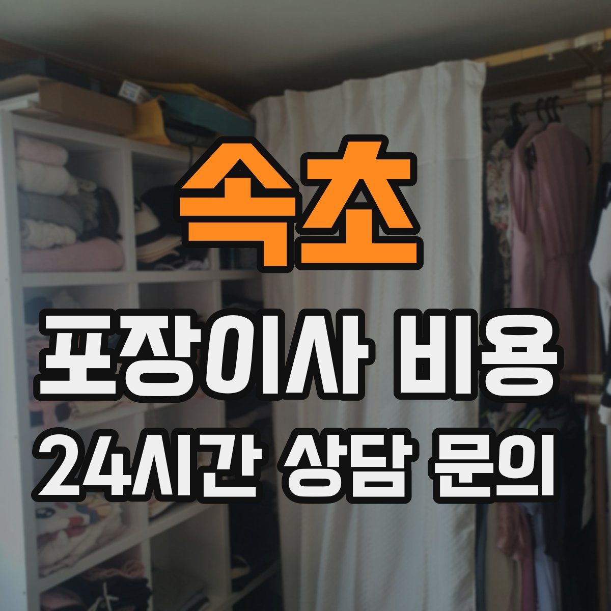 속초 포장이사 비용