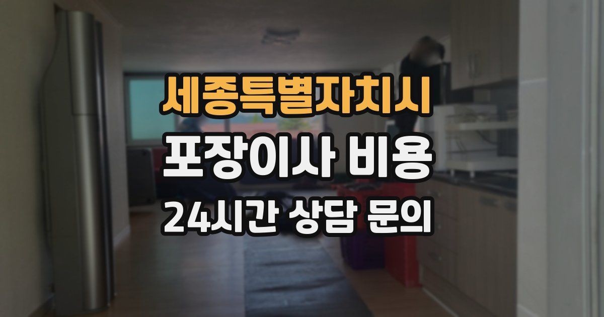 세종특별자치시 포장이사 비용