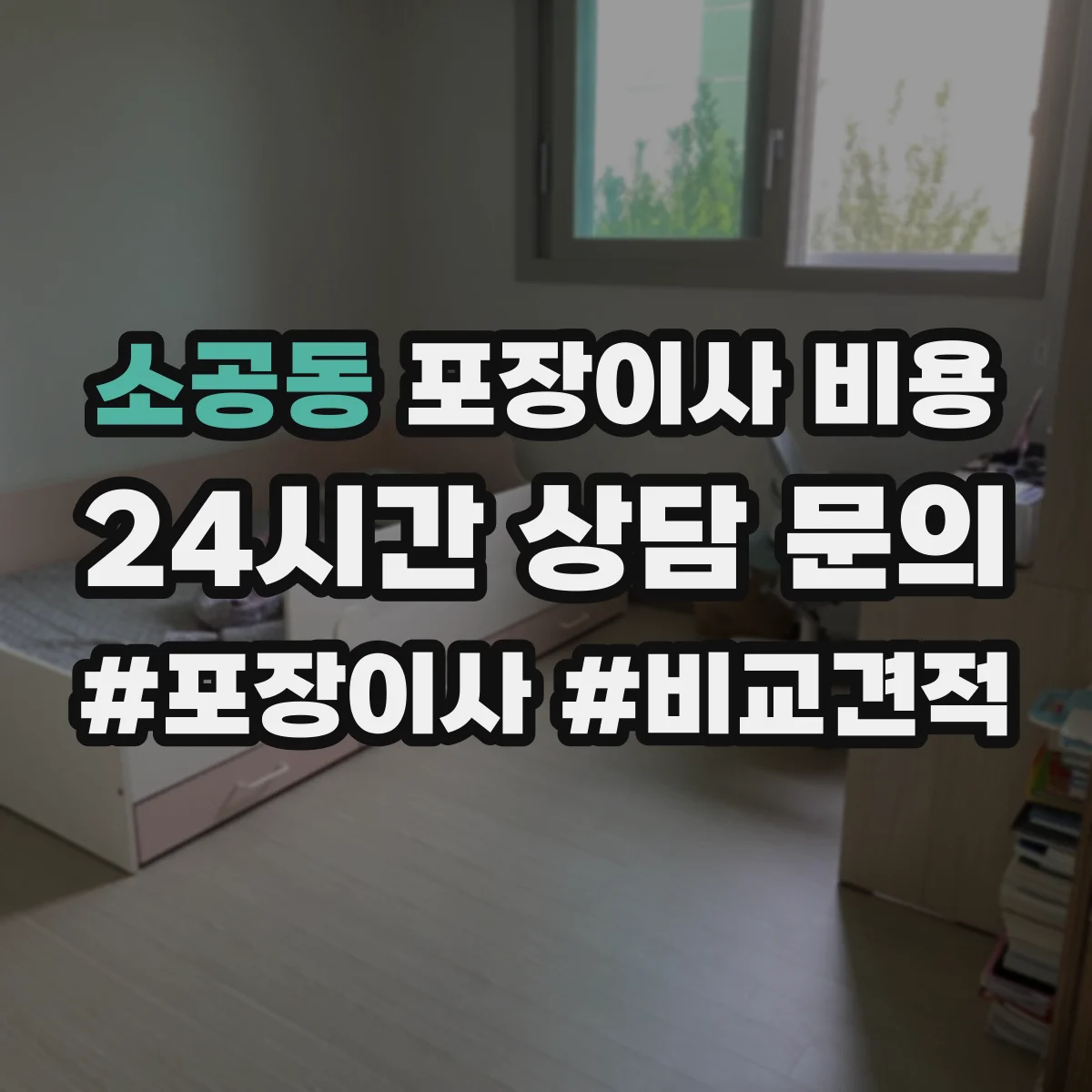 소공동 포장이사 비용