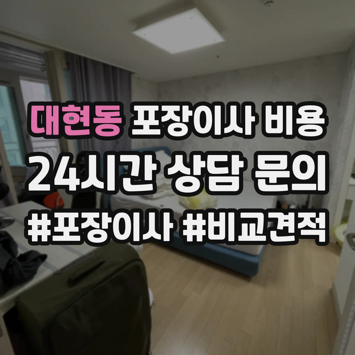대현동 포장이사 비용