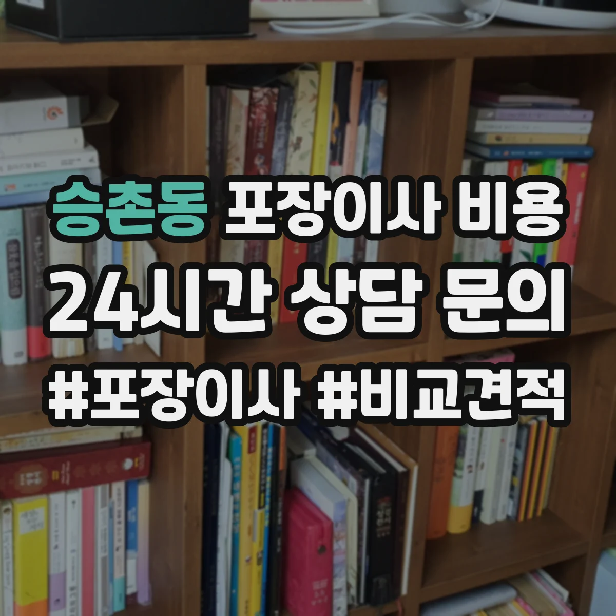 승촌동 포장이사 비용 짐 종류별 포장재 사용 여부와 비용