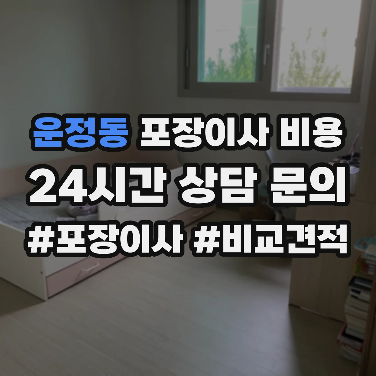 운정동 포장이사 비용 포장재 포함 시 총액이 어떻게 달라질까