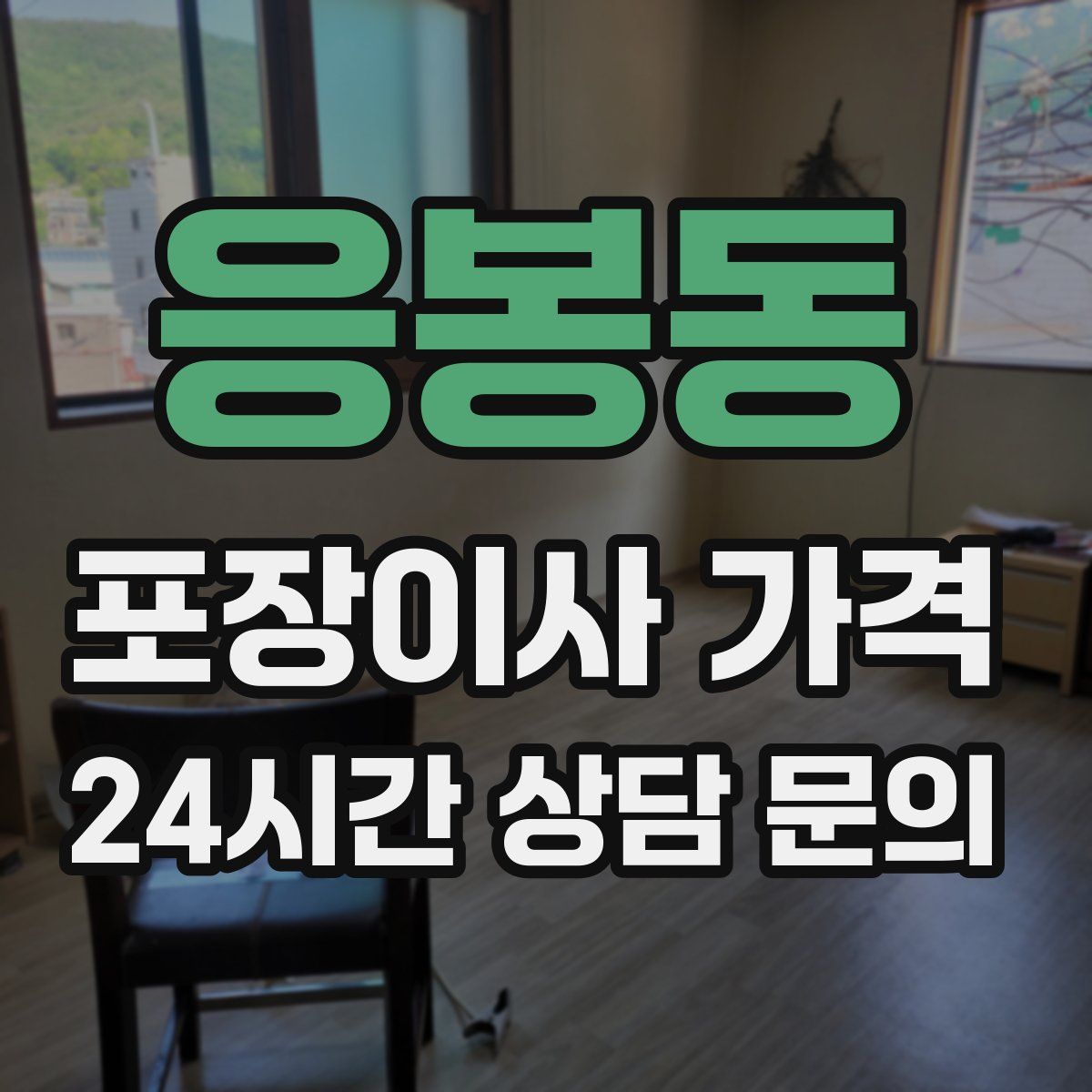 응봉동 포장이사 가격